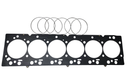 Fire Ring Head Gasket | 2003-2007 Dodge Ram 5.9 Cummins.