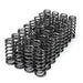 HD High Boost Valve Spring Set 11-26 Ford F-250/F-350/F-450/F-550 Super Duty XDP Xtreme Diesel Performance.