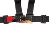 Photo - Close Up