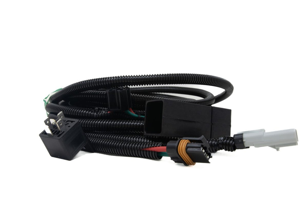 FASS Replacement Wire Harness 10 Gauge Delphi w/ Relay Cover